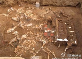 giant tomb complex found in China, china emperor tomb complex, tomb complex china emperor, This is the second largest tomb found in China. It was most probably built by first emperor, Qin Shi Huang, for his grandmother, Two such carriages pulled by six horses were also unearthed. These are symbols of royalty in medieval China.