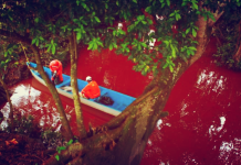 blood red river, blood red river mexico, blood red hondo river, blood red hondo river photo, photo of blood red hondo river, blood red hondo river mexico, The Mexican Hondo river has turned blood red after a crude oil spill. Photo: AP