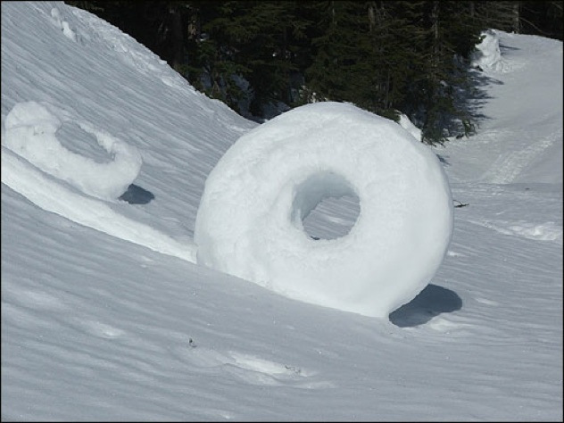 snow donuts