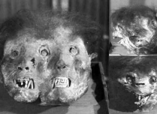 Three-faced demon mummy, Three-faced demon at Zengyōji (善行寺) temple, demon mummies, demon mummies japan, japanese demon mummies in Japan buddhist temples, buddhist demon mummies photo, picture of demon mummies japan, Three-faced demon at Zengyōji (善行寺) temple, Three-faced demon mummy picture