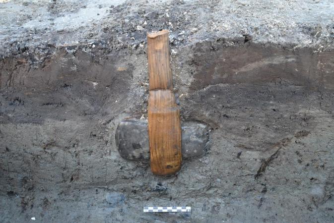 Ancient Axe With Intact Wooden Shaft Uncovered in Denmark, ancient axe intact wooden shaft, This Axe with intact wooden shaft was uncovered at Rødbyhavn, Denmark., ancient axe intact wooden shaft Rødbyhavn Denmark., ancient axe intact wooden shaft Rødbyhavn Denmark november 2014, ancient axe intact wooden shaft Rødbyhavn Denmark photo, archeology, archeology news, ancient axe intact wooden shaft denmark, This ancient axe with intact wooden shaft was uncovered at Rødbyhavn, Denmark. It dates to the Stone Age, about 5,500 years ago. AMAZING!, archeology, ancient, artifact, axe, denmark, november 2014