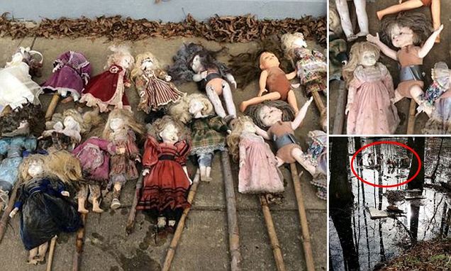 porcelain dolls alabama swamp, mystery porcelain dolls alabama swamp, mysterious dolls alabama swamp, dollsa discovered in alabama swamp
