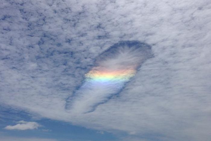 The fallstreak cloud over Victoria was cut in two by a rainbow cloud, Strange multicolor fallstreak cloud over Victoria - November 3 2014, mysterious Strange multicolor fallstreak cloud over Victoria - November 3 2014, strange cloud over victoria photo, fallstreak hole photo victoria november 2014, punch hole cloud victoria november 2014, mysterious cloud over victoria australia, punch hole cloud and fire rainbow clouds victoria november 3 2014, alien fallstreak cloud victoria picture, Mysterious punch hole and fire rainbow clouds in the sky over Victoria, Australia on November 3 2014. Photo: David Barton, strange clouds, strange clouds photo fallstreak hole nov 2014, Strange multicolor fallstreak cloud over Victoria - November 3 2014. Photo: Lorie Leskie