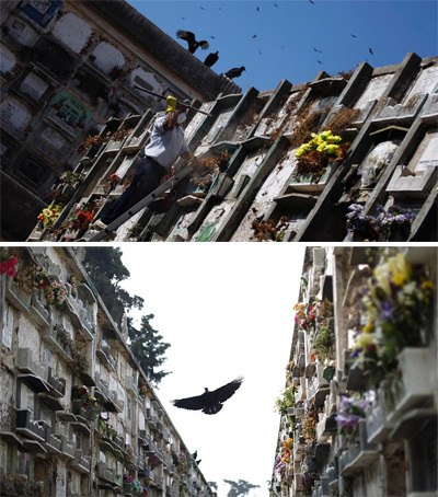 Vultures at La Verbena Cemetery in Guatemala City, mummy eviction at La Verbena Cemetery in Guatemala City, mummy eviction at general cemetery in Guatemala City, terrifying cemetery Guatemala city, The La Verbena Cemetery in Guatemala City is transformed into an open party places with shops, music and danse. Photo: AP, La Verbena Cemetery in Guatemala City, terrifying La Verbena Cemetery in Guatemala City, With 30 percent more corpses than the regular death projects, La Verbena Cemetery in Guatemala City builds building crypts fro the poorest. Did you see the vultures on top of it? Photo: Anthony Fontes, The Destitute Cemetery City of Guatemala, A grave cleaner removes a mummified body from a crypt at La Verbena Cemetery in Guatemala City., grave cleaner La Verbena Cemetery, La Verbena Cemetery Guatemala city, La Verbena Cemetery Guatemala, terrifying La Verbena Cemetery, La Verbena Cemetery photo, creepy La Verbena Cemetery