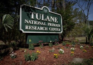 Deadly bacteria escapes lab in Covington, Deadly bacteria released from Louisiana lab, tulane primate laboratory bacteria release