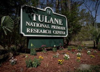 Deadly bacteria escapes lab in Covington, Deadly bacteria released from Louisiana lab, tulane primate laboratory bacteria release
