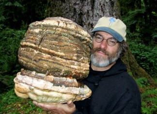 Paul Stamets and his magic mushroom, Paul Stamets mushroom, Paul Stamets mushroom vs pesticides, Paul Stamets mushroom against pesticides
