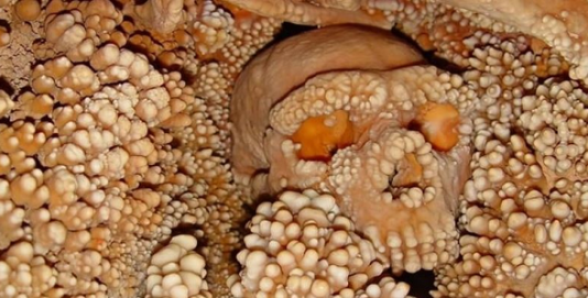 Altamura man, altamura man fossil, neanderthal fossil april 2015, neanderthal human history, altamura man neanderthal april 2015, altamura man dna, oldest neanderthal dna found in Altamura man, a fossil skeleton of the genus Homo found over 20 years ago in a cave in Apulia, seems to date back to approximately 150,000 years ago. Moreover, the skeleton contains the most ancient DNA of a Neanderthal ever extracted so far. Awesome!