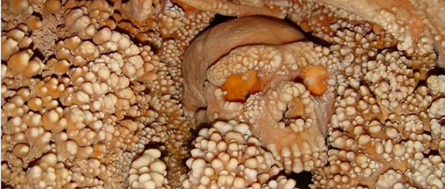 Altamura man, altamura man fossil, neanderthal evolution, human evolution, neanderthal fossil april 2015, neanderthal human history, altamura man neanderthal april 2015, altamura man dna, oldest neanderthal dna found in Altamura man, a fossil skeleton of the genus Homo found over 20 years ago in a cave in Apulia, seems to date back to approximately 150,000 years ago. Moreover, the skeleton contains the most ancient DNA of a Neanderthal ever extracted so far. Awesome!, Altamura Man, Altamura Man dna, Altamura Man news 2015, oldest dna neanderthal Altamura Man, Altamura Man neanderthal research, Altamura Man reveals ancient Neanderthal secrets, Altamura Man. He is 150,000 years old or more and his dna -the oldest Neanderthal DNA- will reveal unsuspected mysteries of human evolution.