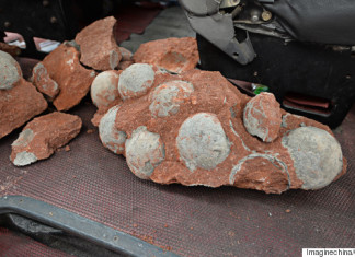Dinosaur egg discovered china april 2015, Dinosaur egg fossils found during road works in southern China, Dinosaur egg Heyuan, Fossilised dinosaur eggs found by construction workers in Heyuan city, fossilized Dinosaur eggs in China, dinosaur eggs discovered in China april 2015, construction workers discover dinosaur eggs in Hometown of the Dinosaur in China, Hometown of the Dinosaur in China eggs, heyuan dinosaur eggs april 2015