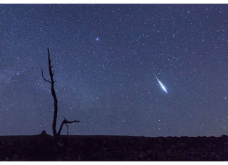 lyrids meteor shower 2015, lyrids meteor shower 2015 photo, photo of lyrids meteor shower 2015, fireball lyrids zorro 2015, gif zorro fireball