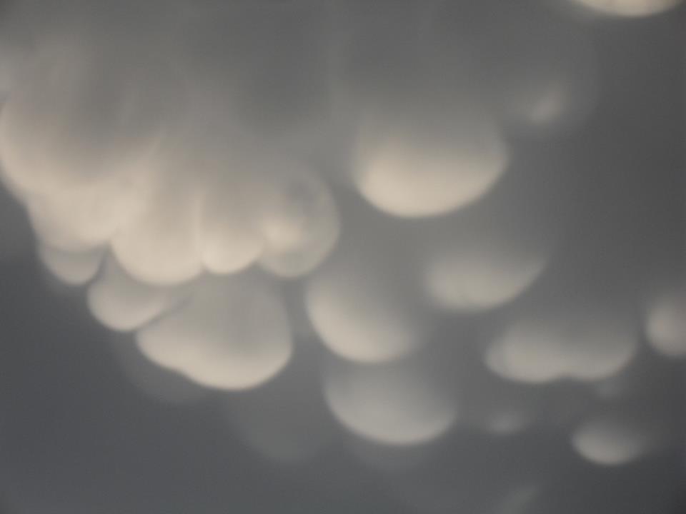 mammatus chicago june 2015, mammatus chicago june 2015 picture, mammatus chicago june 2015 video, mammatus chicago june 2015 motion picture, mammatus chicago june 2015 film, Awesome mammtus clouds in the sky of Illinois on June 10 2015. Photo: Lauren Seeley, A close-up of the mammatus clouds near Chicago. Perfectly formed! Photo: Lauren Seeley