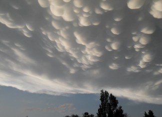 mammatus chicago june 2015, mammatus chicago june 2015 picture, mammatus chicago june 2015 video, mammatus chicago june 2015 motion picture, mammatus chicago june 2015 film, Awesome mammtus clouds in the sky of Illinois on June 10 2015. Photo: Lauren Seeley, A close-up of the mammatus clouds near Chicago. Perfectly formed! Photo: Lauren Seeley, Thank you for sharing these amazing mammatus pictures and motion picture. Photo: Lauren Seeley