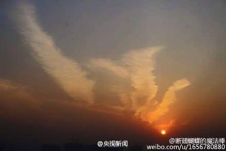 strange clouds, strange phoenix cloud beijing, phoenix sky strange cloud, phoenix cloud, bird cloud, cloud shape phoenix, cloud form of a phoenix appears over Beijing