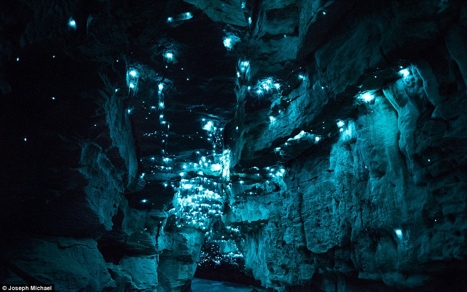 Look at the following pictured of New Zealand’s magical glow-worm caves. 