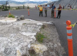 thermal activity road closed yellowstone july 2015, yellowstone thermal activity july 2015, road close in yellowstone due to new thermal acticivty, new thermal activity closes road in yellowstone national park, Road in Yellowstone National Park closed to vehicles due to thermal activity,