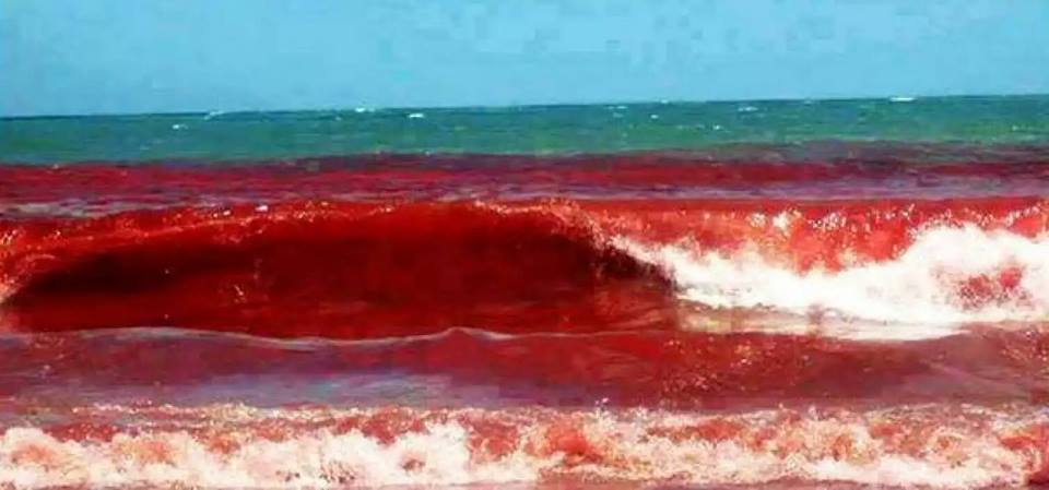 blood red water brazil, red tide photo, amazing red tide brazil 2015, brazil red tide 2015 baffles residents, red tide pictures brazil may 2015