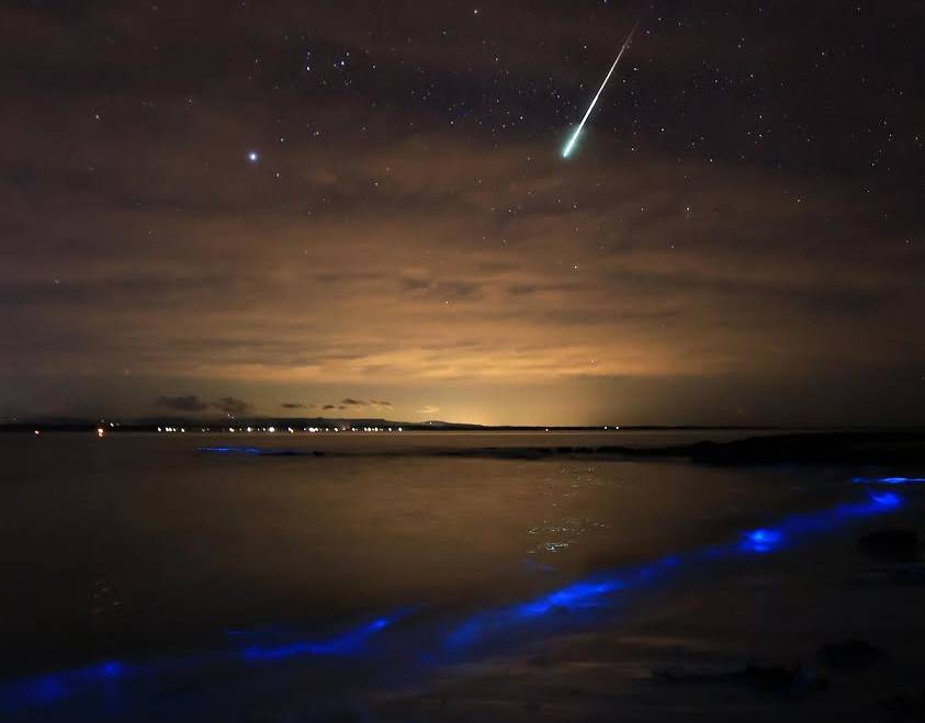 meteor bioluminescence, meteor glowing ocean, meteor strikes over bioluminescent ocean, meteor and bioluminescence photo, Meteor disintegrates over a glowing ocean at Jervis Bay Australia, bioluminescence vs meteor, best meteor photo