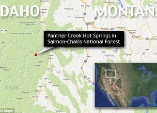 yellowstone alert dogs die burned in hot springs idaho, Hiker burned two dogs die after leaping into Idaho hot springs, Hiker burned and his two dogs die after leaping into Idaho hot springs, yellowstone, yellowstone eruption, yellowstone update 2015, yellowstone update september 2015, Panther Creek is situated right at the edge of the giant Yellowstone supervolcano magma chamber, panther creek dogs die, dogs die in volcamic hot springs at panther creek