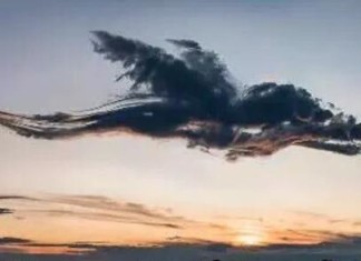 pterodactyl cloud, dinosaur cloud, strange cloud looks like fyling dragon, dragon cloud, flying dragon cloud, flying dinosaur cloud, crocodile cloud, This strange cloud looking like a flying pterodactyl appeared in the sky of Wales on October 10