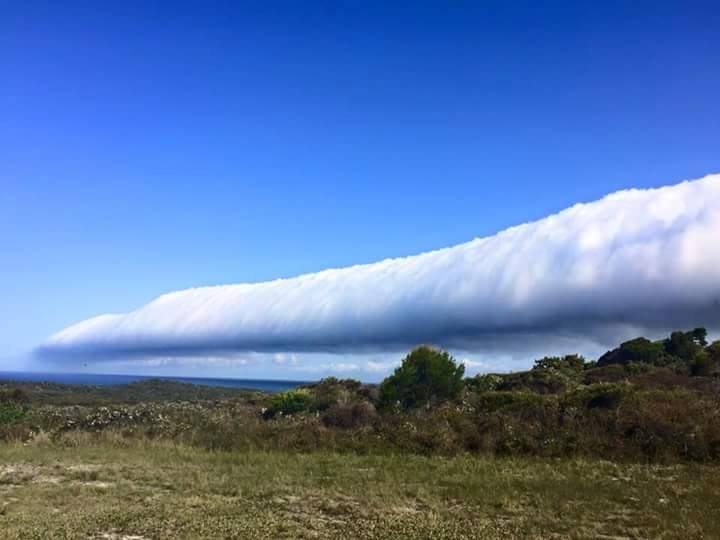 roll cloud australia, roll cloud picture, best roll cloud picture, best roll cloud australia, beast roll cloud australia picture, Roll cloud awes New South Wales residents in Australia
