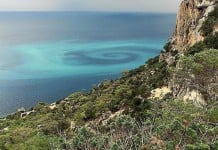 Mysterious giant spiral appears in the waters of Ibiza between Sa Pedrera, known as Atlantis, and Vedra spiral ibiza atlantis sa pedreda vedra espiral, mysterious spiral ibiza, ibiza spiral in water, strange ibiza phenomenon, spiral appears in waters off ibiza, giant spiral of water in ibiza, What is this giant spiral that appeared off Ibiza?, Captan una sobrecogedora espiral en el mar entre Sa Pedrera y es Vedra, Captan una sobrecogedora espiral en el mar entre Sa Pedrera y es Vedra
