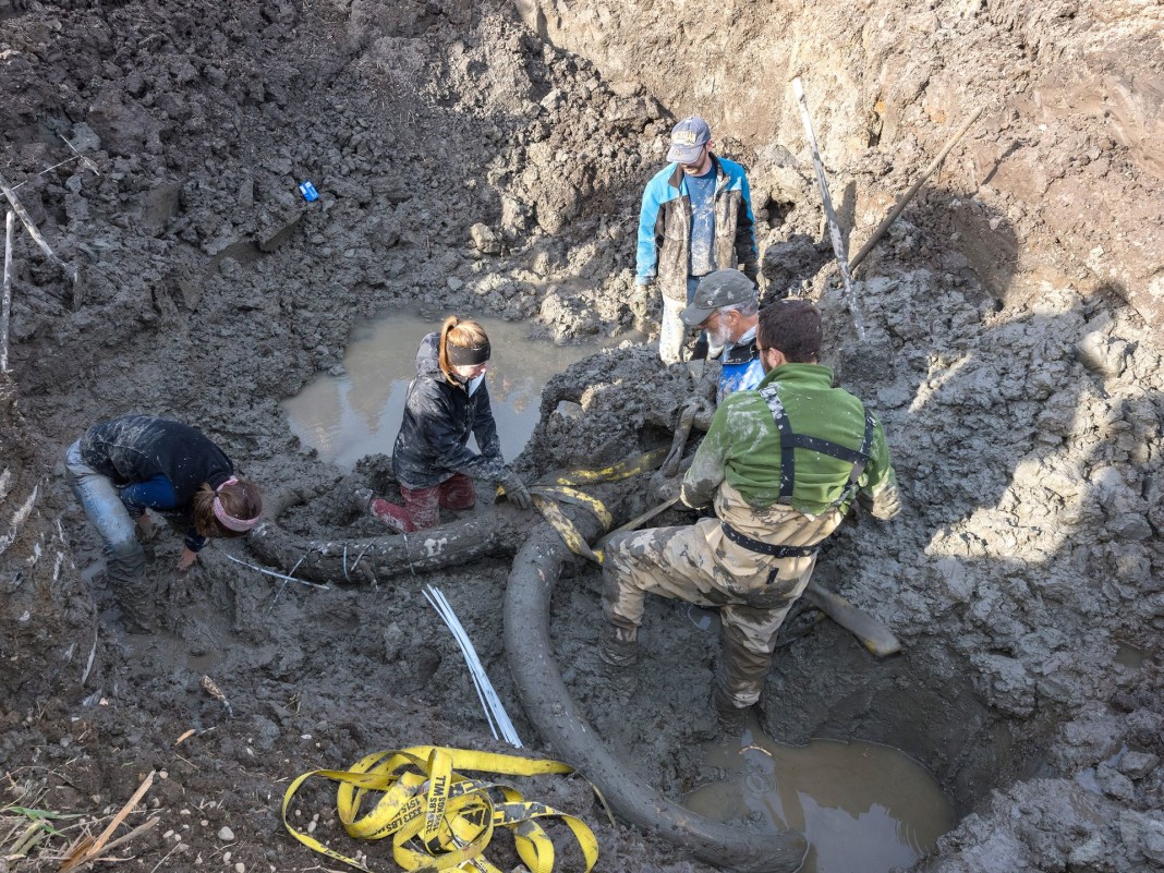 Woolly mammoth discovered in field in Chelsea, Michigan Strange Sounds
