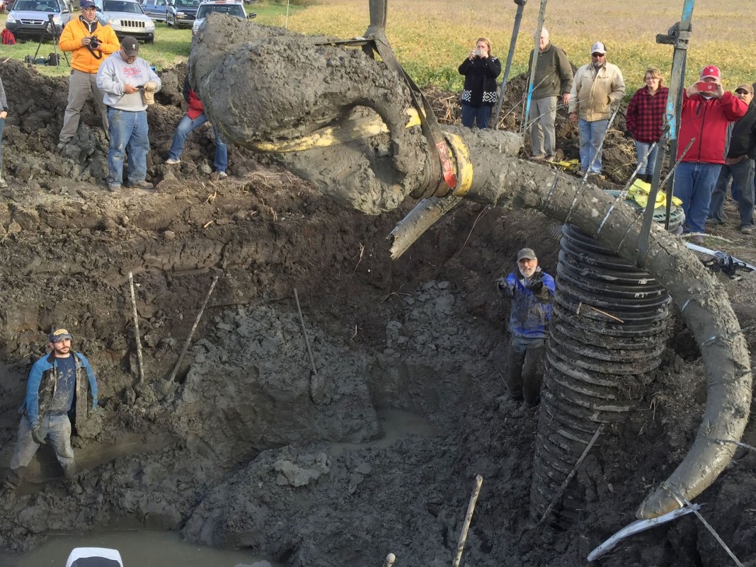 Woolly mammoth discovered in field in Chelsea, Michigan Strange Sounds