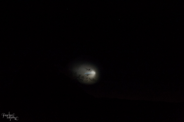 mysterious explosion salton sea, mysterious explosion salton sea gif, mysterious explosion salton sea pictures, strange lights LA, mysterious lights LA and san diego, missile lauch socal november 7 2015, This amazing gif features the insane explosion observed from Salton Sea on November 7 2015. Coincides with the Tident II missile launch