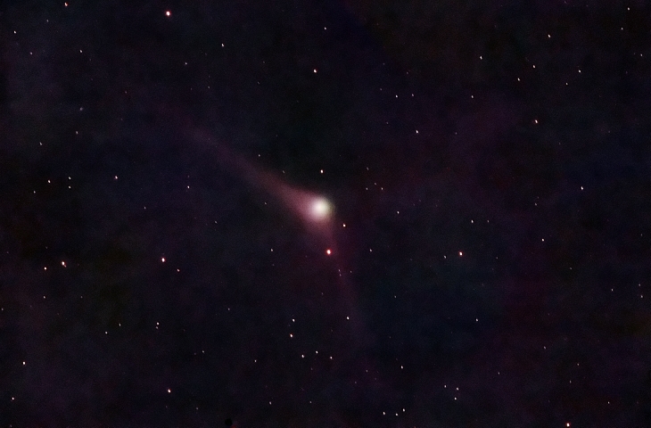 Comet Catalina, Comet Catalina picture, Comet Catalina 2015 picture, Comet Catalina perihelion november 2015 image, Comet Catalina michael Jaeger, comet chasing, look for comet catalina december 2015, The two tails of Comet Catalina