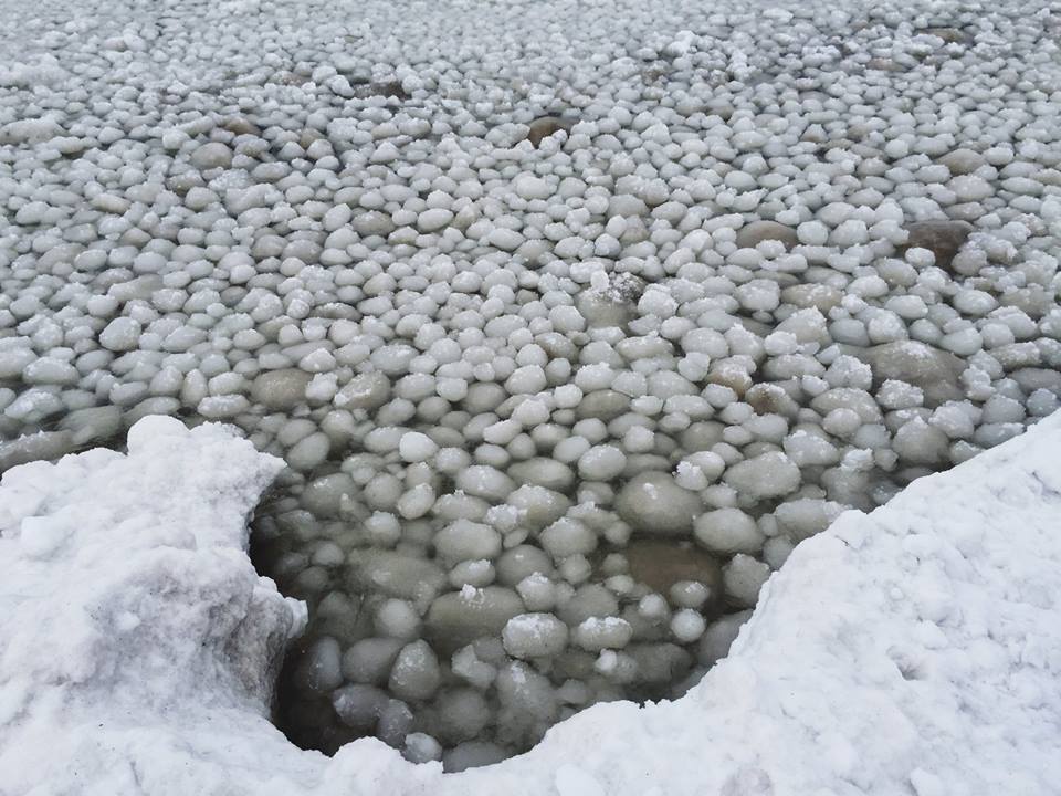 ice balls lake michigan, ice balls lake michigan december 29 2015, ice balls lake michigan december 2015, ice balls lake michigan video, ice balls lake michigan december 2015 video, ice balls lake michigan december 29 2015 video and pictures
