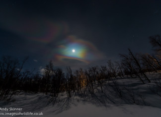 moon stratospheric cloud, moon stratospheric cloud picture, polar stratospheric clouds with moon, moon and polar stratospheric clouds, polar stratospheric cloud forming a halo around the moon