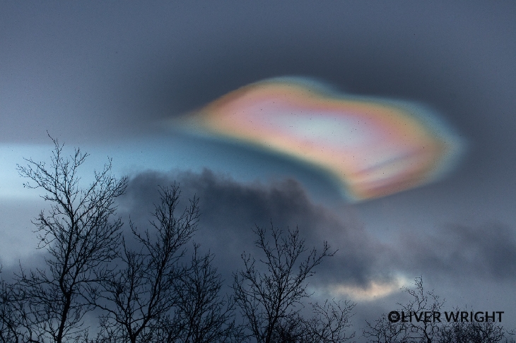 nacreous cloud, mother of pearl cloud, nacreous cloud sweden december 2015, nacreous cloud december 2015, nacreous cloud 2015, mother of pearl cloud sweden december 2015, polar stratospheric cloud, polar stratospheric cloud sweden, polar stratospheric cloud sweden december 2015, Nacreous clouds are colorful polar stratospheric clouds, These mother of perl clouds appeared in the sky of Abisco, Sweden on December 14, 2015