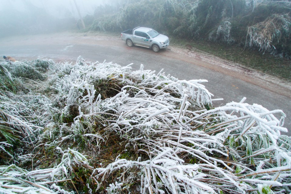 laos snow, freezing cold weather laos, anomalic cold weather in laos, laos cold weather anomaly, freeze in lao, tropical laos snow january 2016