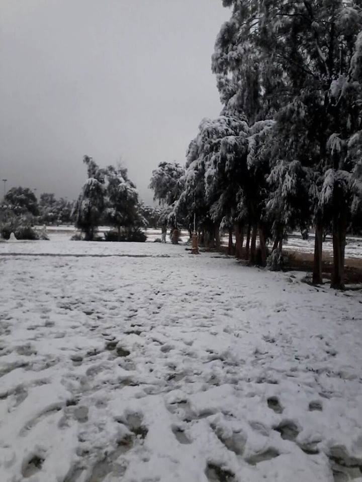 rafha snow saudi arabia, snow in rafha saudi arabia, snow blankets rafha saudi arabia, snow rafha saudi arabia