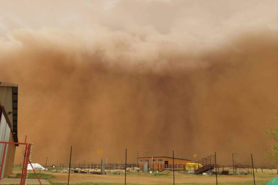 south africa sandstorm hoopstad, south africa sandstorm hoopstad pictures, south africa sandstorm hoopstad video, sandstorm hoopstad south africa, sandstorm hoopstad south africa photo, sandstorm hoopstad south africa video, sandstorm hoopstad south africa january 2016
