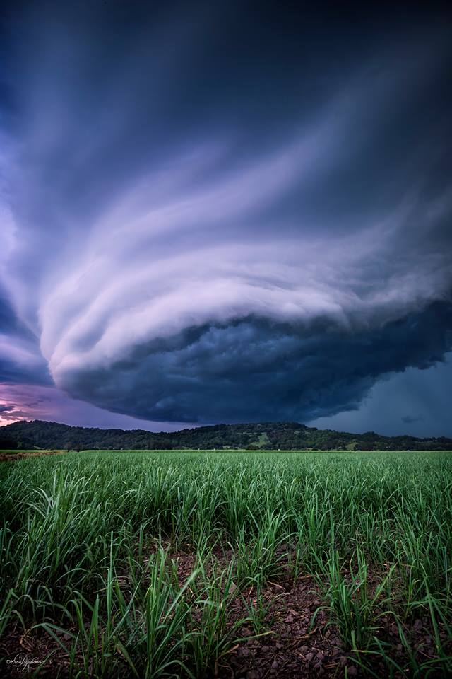 supercell shelf cloud, supercell picture, shelf cloud picture, shelf cloud dk photography, shelf cloud nsw storms, best shelf cloud pictures, best supercell picture, dk photography, This supercell shelf cloud was growing in the sky of NSW, Australia on January 23, 2016.