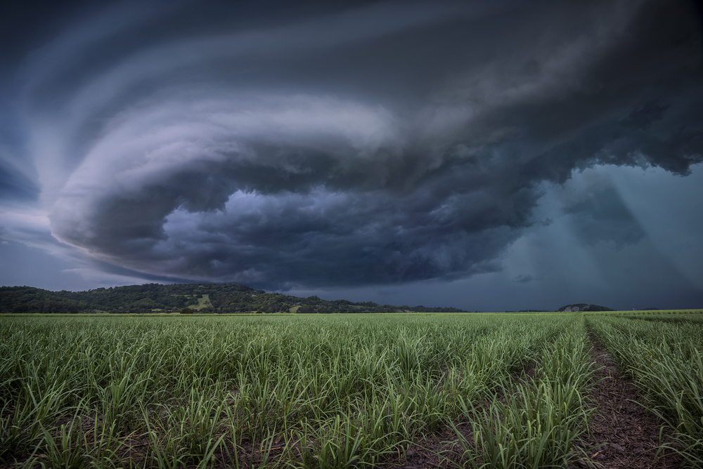 supercell shelf cloud, supercell picture, shelf cloud picture, shelf cloud dk photography, shelf cloud nsw storms, best shelf cloud pictures, best supercell picture, dk photography, This supercell shelf cloud was growing in the sky of NSW, Australia on January 23, 2016.