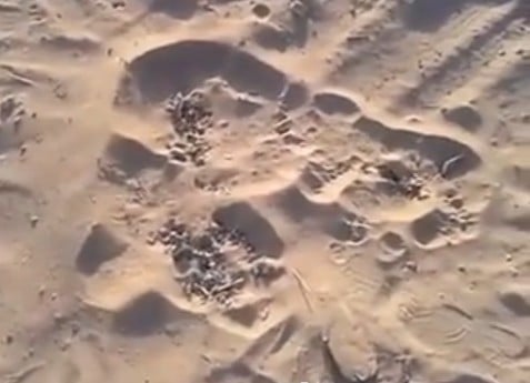 bubbling sand gaza, bubbling sand gaza video, gaza bubbling sand, sand is bubbling in gaza, gaza sand bubbling video, video of bubbling sand gaza, video of bubbling sand in Gaza