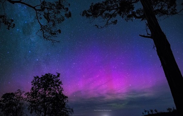 purple auroras, purple aurora australis, aurora australis picture, best picture aurora australis tasmania february 2016, aurora australis february 2016 photo