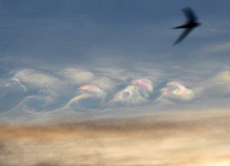 Iridescent Kelvin-Helmholtz Clouds, Iridescent Kelvin-Helmholtz Clouds pictures, Iridescent Kelvin-Helmholtz Clouds zimbabwe, Iridescent Kelvin-Helmholtz Clouds africa, Iridescent Kelvin-Helmholtz Clouds march 2016 mutare