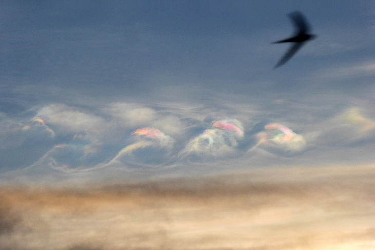 Iridescent Kelvin-Helmholtz Clouds, Iridescent Kelvin-Helmholtz Clouds pictures, Iridescent Kelvin-Helmholtz Clouds zimbabwe, Iridescent Kelvin-Helmholtz Clouds africa, Iridescent Kelvin-Helmholtz Clouds march 2016 mutare
