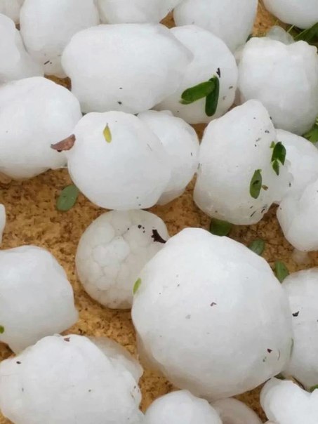 hail oman, oman hail, samail oman hail, samail hail, oman pounded by hailstorm, oman hail pictures, oman hailstorm video, oman hailstorm march 1 2016