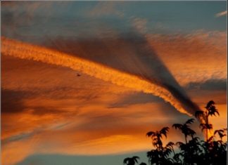 contrail shadow, contrail shadow pictures, chemtrail, chemtrail shadows, chemtrail shadows picture, contrail shadow feather, contrail shadow