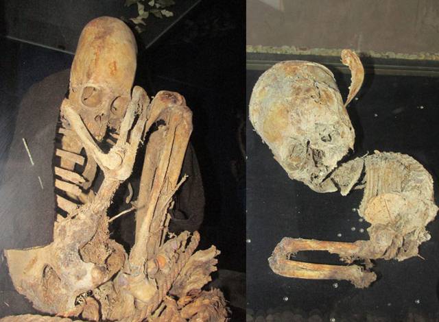 elongated skulls bolivia, paraca skulls, paraca elongated skulls, skull deformation bolivia, bolivia elongated skull discovery