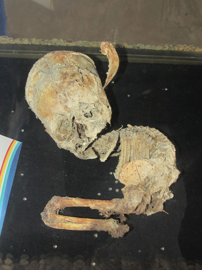 elongated skulls bolivia, paraca skulls, paraca elongated skulls, skull deformation bolivia, bolivia elongated skull discovery