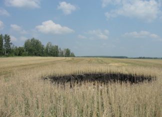 sinkhole wheat field russia, giant sinkhole field russia, russia sinkhole field, wild boar sinkhole russia field