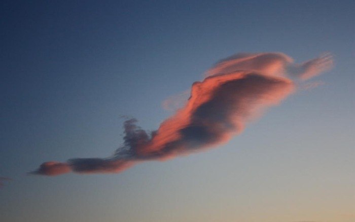 cloud, animal in clouds, strange forms in clouds, weird clouds, cloud formation