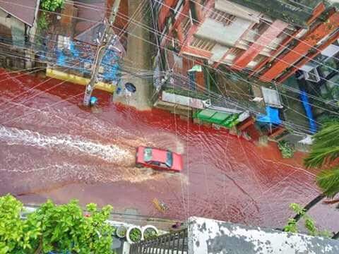 blood red streets dhaka, Blood red water in the streets of Dhaka after Eid al-Adha 2016, dhaka streets blood red, flooded streets dhaka blood red, blood dhaka street, Eid al-Adha 2016, Eid al-Adha 2016 dhaka, dhaka slaughter