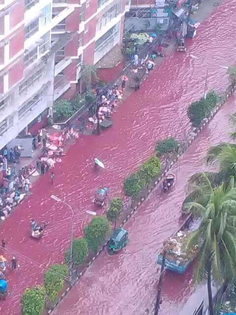 Blood red water in the streets of Dhaka after Eid al-Adha 2016, blood red streets dhaka, dhaka streets blood red, flooded streets dhaka blood red, blood dhaka street, Eid al-Adha 2016, Eid al-Adha 2016 dhaka, dhaka slaughter